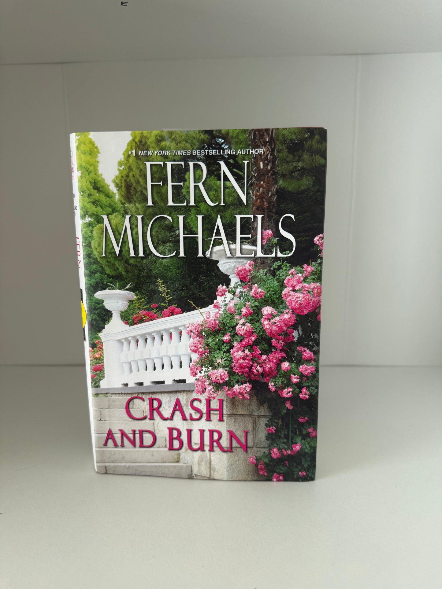 Crash and Burn by Fern Michaels